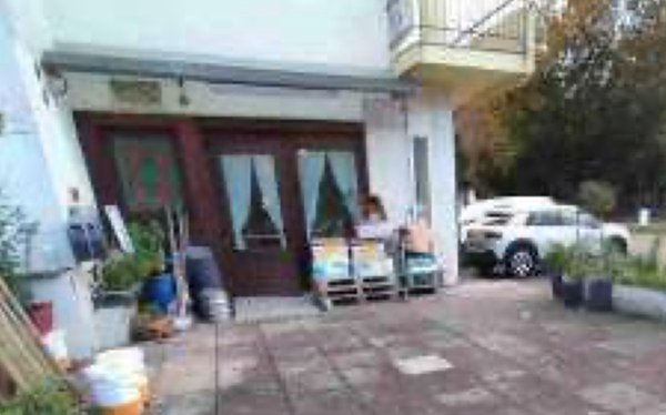 negozio in vendita a Vittorio Veneto