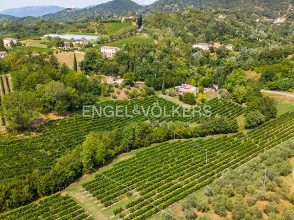 terreno agricolo in vendita a Vittorio Veneto