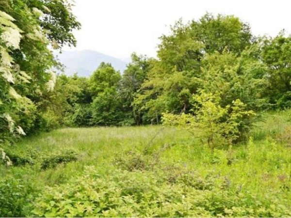 terreno in vendita a Vittorio Veneto