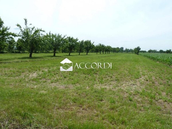 negozio in vendita a Volpago del Montello