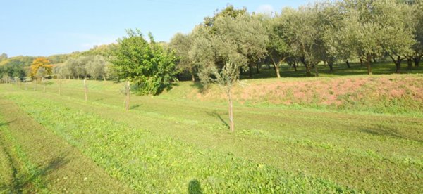 negozio in affitto a Volpago del Montello