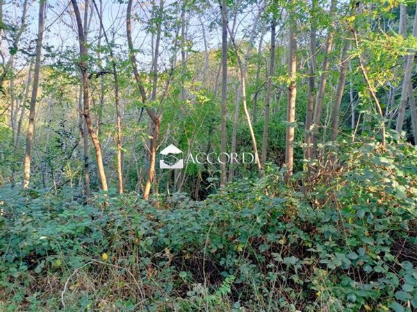 terreno agricolo in vendita a Volpago del Montello