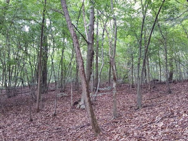 terreno agricolo in vendita a Volpago del Montello