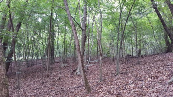terreno agricolo in vendita a Volpago del Montello