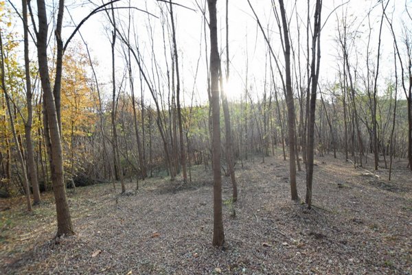 terreno in vendita a Volpago del Montello