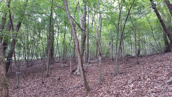 terreno in vendita a Volpago del Montello