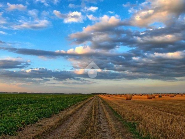 terreno edificabile in vendita a Volpago del Montello in zona Venegazzù