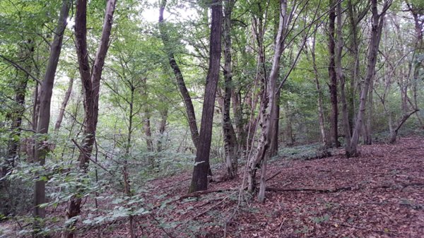 terreno in vendita a Volpago del Montello