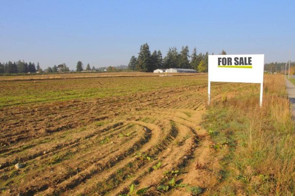 terreno agricolo in vendita a Zenson di Piave