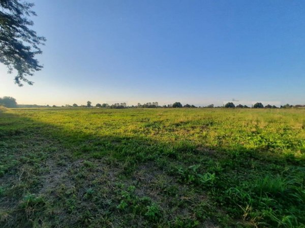 terreno edificabile in vendita a Zero Branco in zona Scandolara