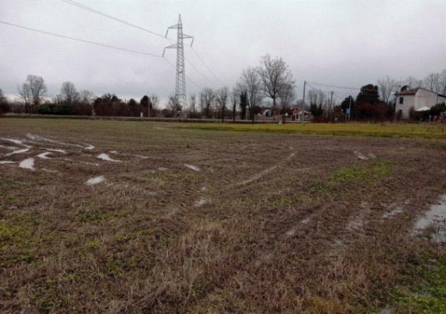 terreno agricolo in vendita a Zero Branco