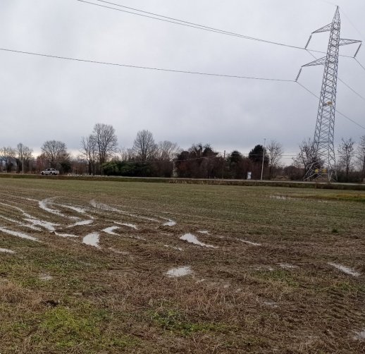 terreno agricolo in vendita a Zero Branco