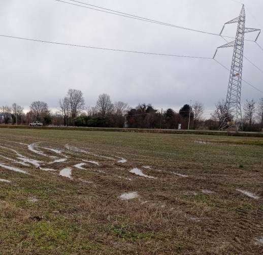 terreno agricolo in vendita a Zero Branco