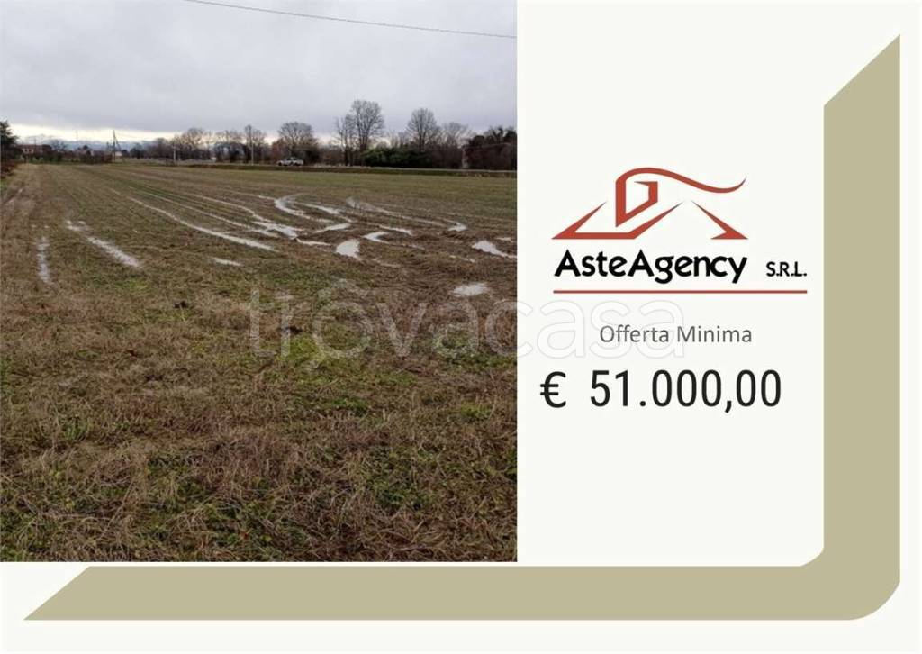 terreno agricolo in vendita a Zero Branco