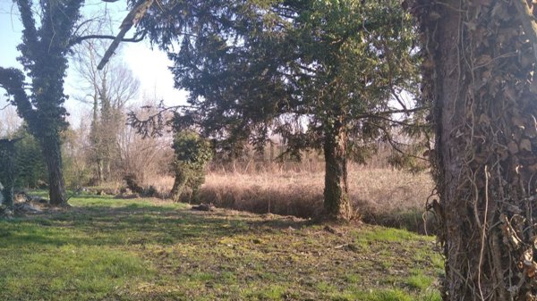 casale in vendita a Zero Branco