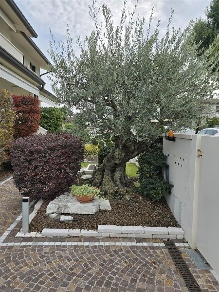 casa indipendente in vendita a Zero Branco
