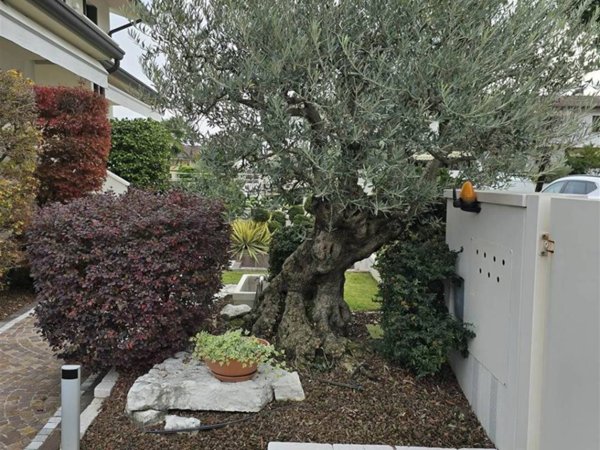 casa indipendente in vendita a Zero Branco