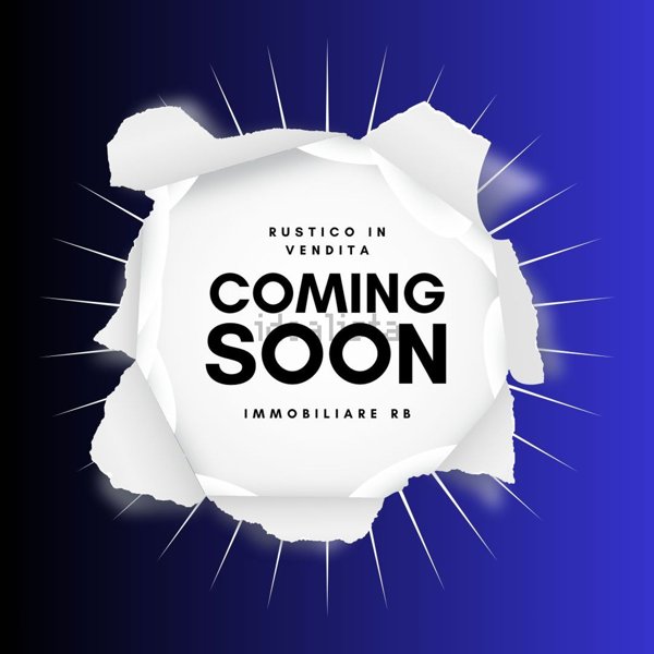 appartamento in vendita a Zero Branco in zona Sant'Alberto