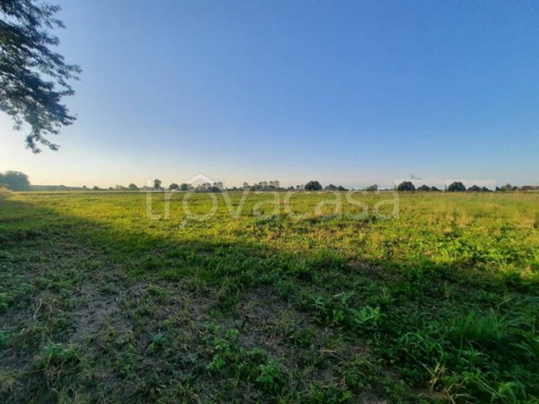 terreno edificabile in vendita a Zero Branco in zona Scandolara