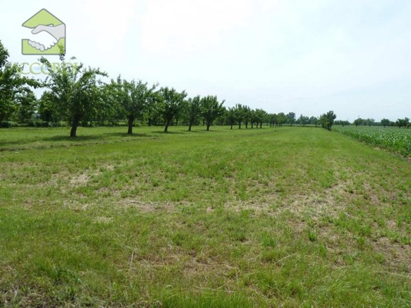terreno edificabile in vendita a Zero Branco in zona Sant'Alberto