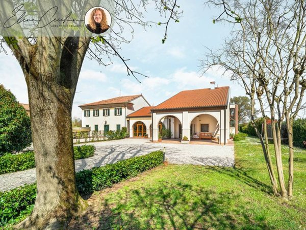 casa indipendente in vendita a Zero Branco in zona Sant'Alberto