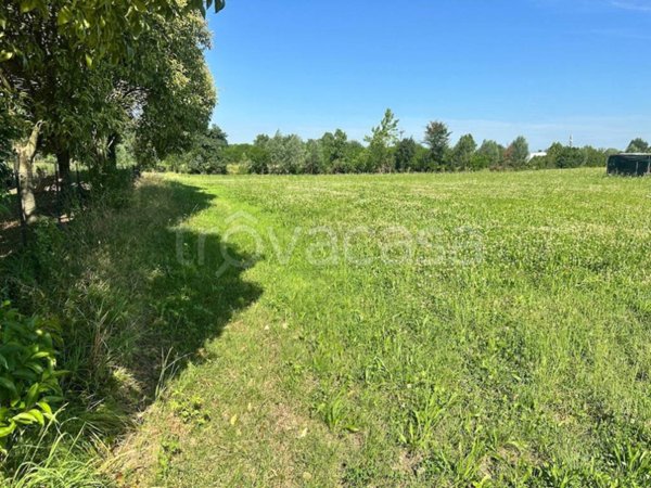 terreno agricolo in vendita a Zero Branco in zona Sant'Alberto