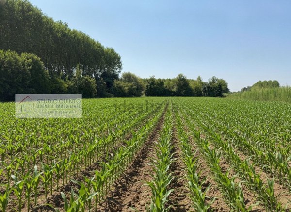 terreno agricolo in vendita a Zero Branco