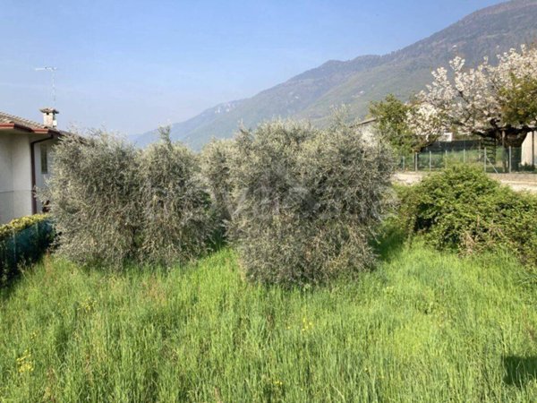 terreno agricolo in vendita a Pieve del Grappa