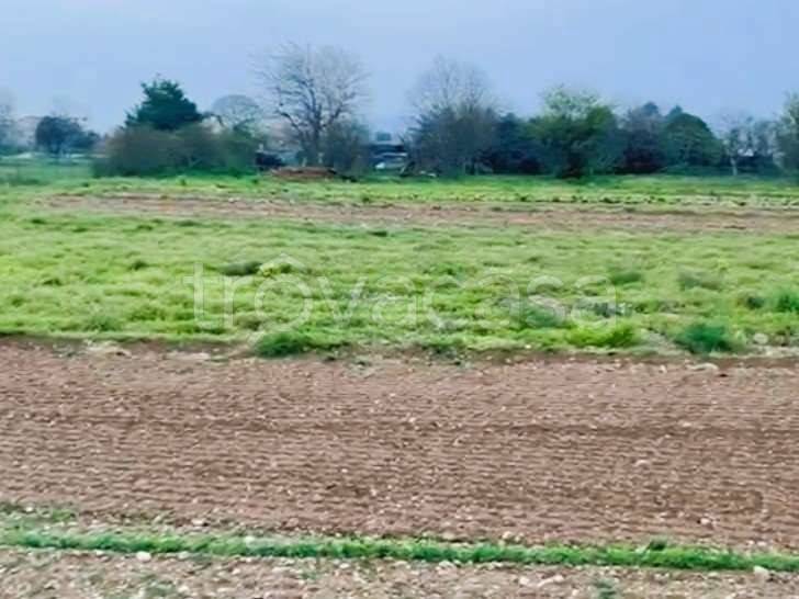 terreno industriale in vendita a Pieve del Grappa