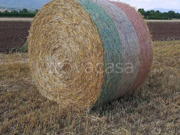 terreno agricolo in vendita a Pieve del Grappa