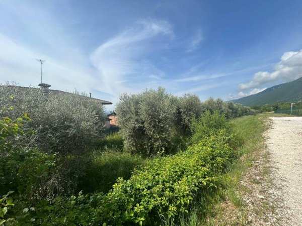 terreno edificabile in vendita a Pieve del Grappa