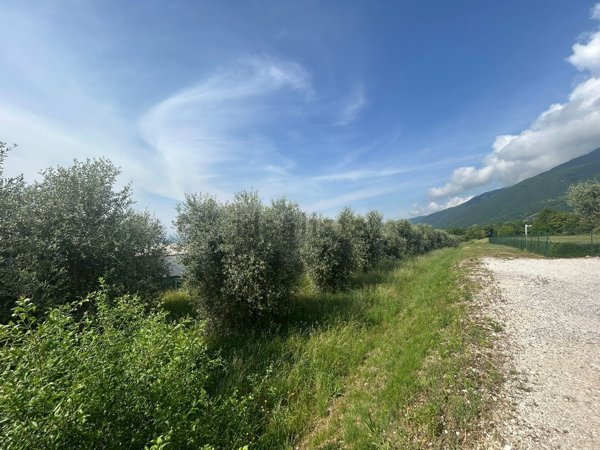 terreno edificabile in vendita a Pieve del Grappa
