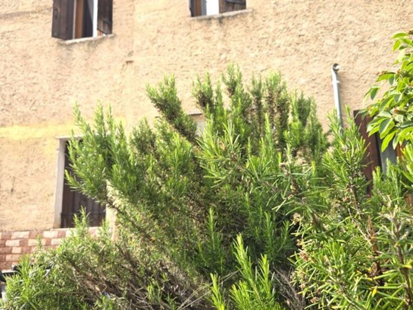 casa indipendente in vendita a Pieve del Grappa