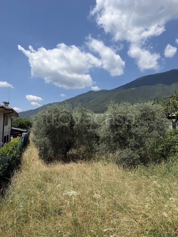terreno agricolo in vendita a Pieve del Grappa