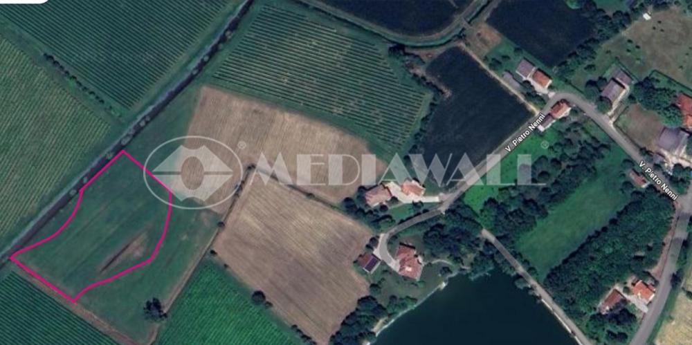 terreno agricolo in vendita ad Annone Veneto