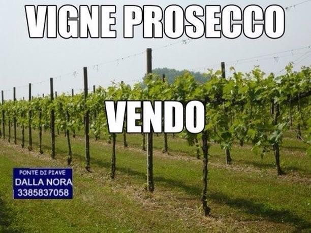 terreno agricolo in vendita ad Annone Veneto