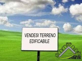 casa indipendente in vendita a Campagna Lupia