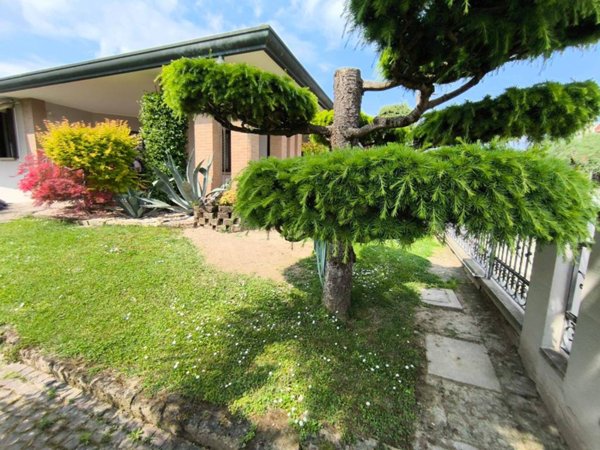 casa indipendente in vendita a Campagna Lupia in zona Lova