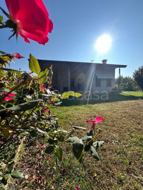 casa indipendente in vendita a Campagna Lupia