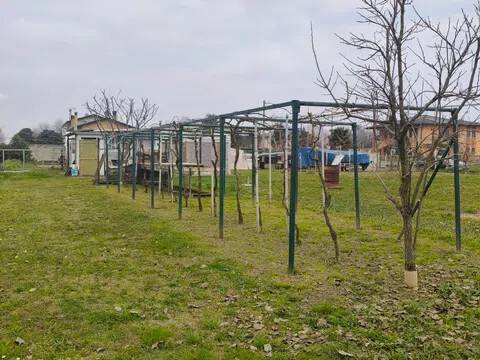 terreno agricolo in vendita a Campagna Lupia
