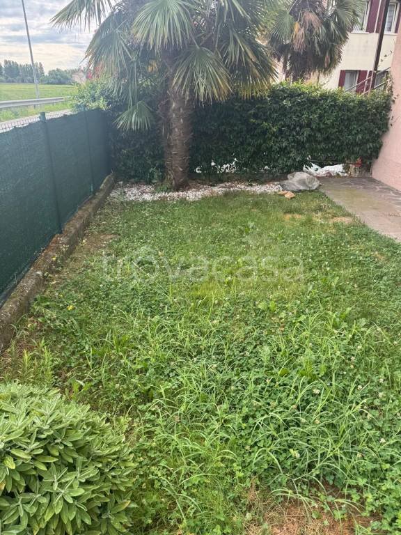 appartamento in vendita a Campagna Lupia in zona Lova
