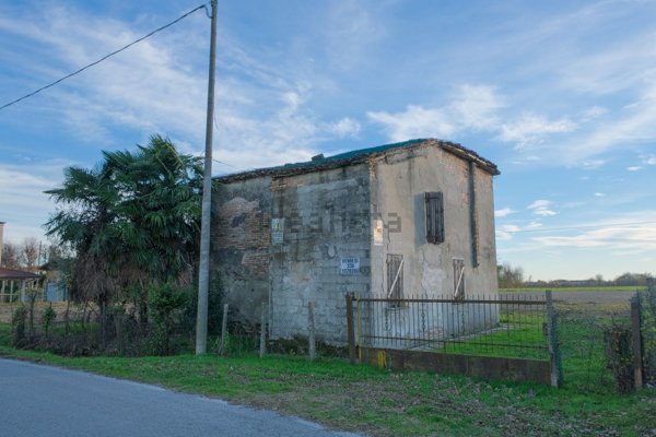 appartamento in vendita a Campolongo Maggiore