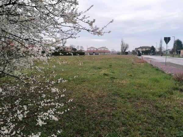 terreno edificabile in vendita a Campolongo Maggiore in zona Bojon