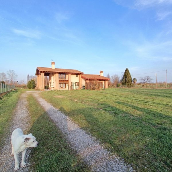 casa indipendente in vendita a Campolongo Maggiore