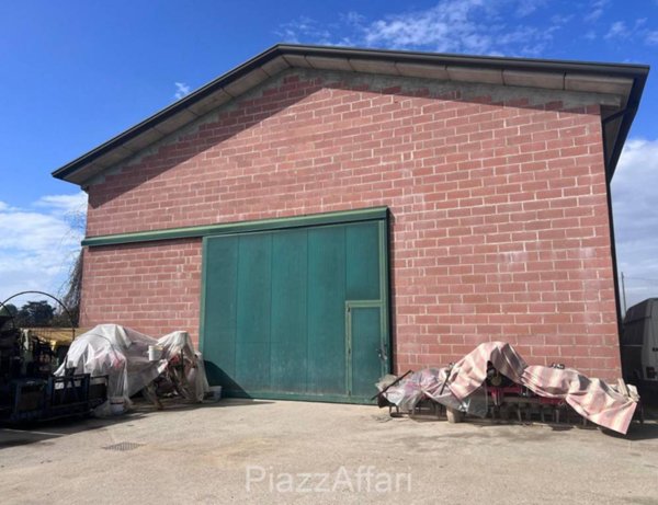 locale commerciale in vendita a Campolongo Maggiore