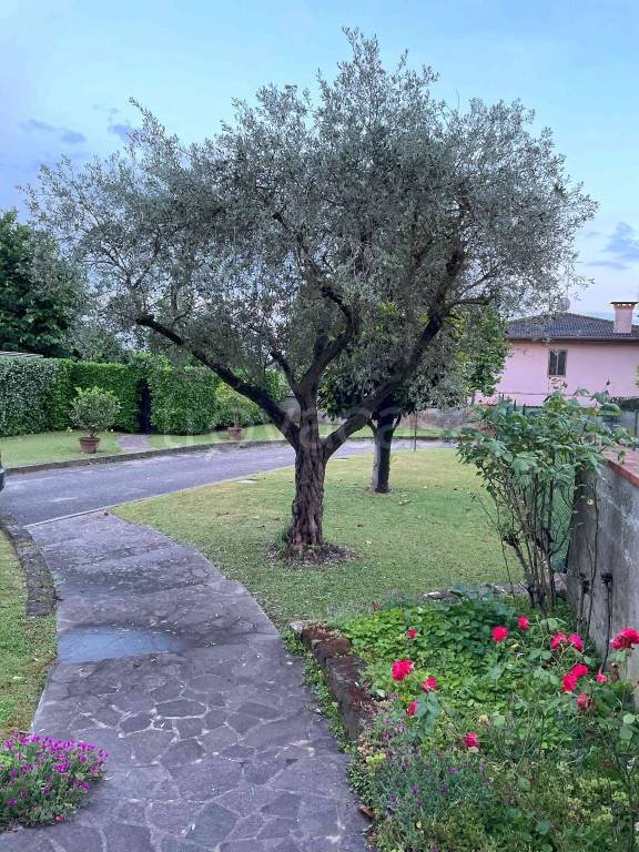 casa indipendente in vendita a Campolongo Maggiore