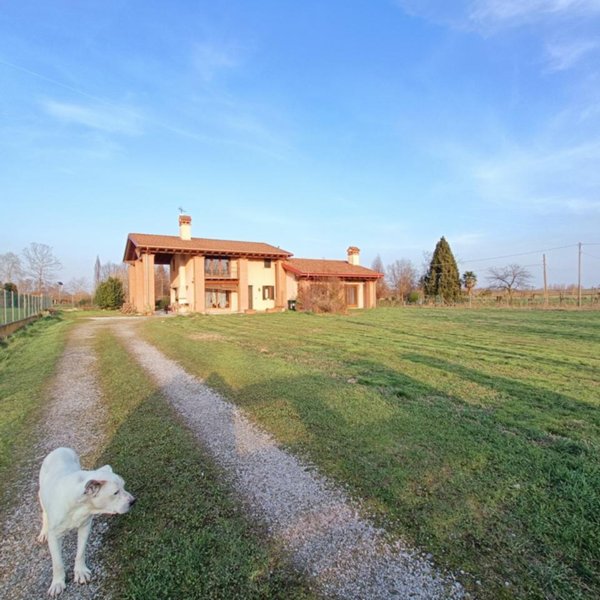casa indipendente in vendita a Campolongo Maggiore