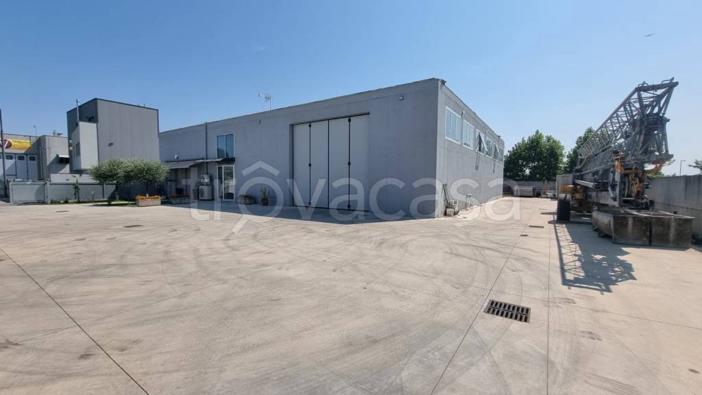 appartamento in vendita a Campolongo Maggiore