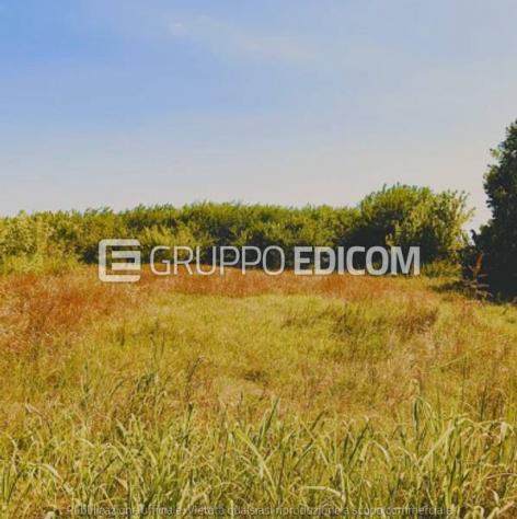 terreno edificabile in vendita a Campolongo Maggiore