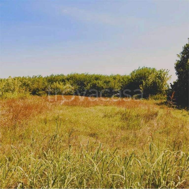 monolocale in vendita a Campolongo Maggiore